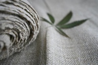 从衣食住行出发，健康生活的四大法宝