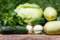 健康生活：蔬菜均衡摄入！