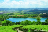 生活垃圾分类，您的茶叶渣该如何处理？