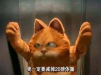 别让体重更稳重！减脂改变生活