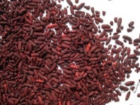 健康生活：几大最佳营养食物