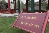 让生活充满活力：六种简单易行的养生小窍门