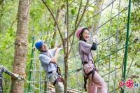 普洱：亮出“王牌” 打造世界一流“健康生活目的地牌”