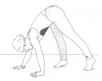 改变生活、活力、健康的最佳练习四肢行走