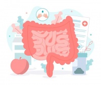 肠胃健康与长寿：科学饮食与生活习惯的奥秘