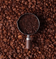 鲨鱼菲特：黑咖啡与轻食，健康生活的理想搭档