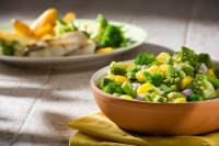 植物饮食：素食主义的健康之道，全面平衡的素食生活