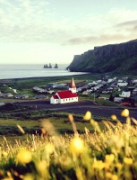 减肥日常：少吃多动，健康生活