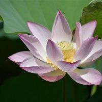 怎样注意性生活的卫生？