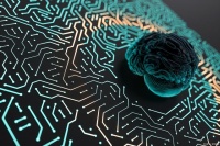 健康生活：如何通过锻炼提高大脑的认知功能！