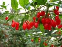 日常生活小知识大全（三）