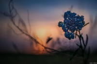 晚年生活，需早做打算，这几条后路，别明白太迟