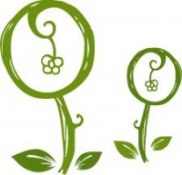 【药食同源】果腹代餐而不伤脾胃，还可润肠通便，这款香甜浓郁的糖水里既有健康生活，也有诗和远方~