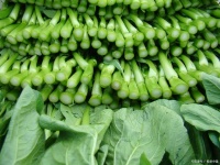 健康饮食调理：生活质量的全面提升