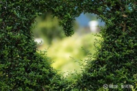 呼吸健康必须了解的CLEAN ZONE®，网红医生张文宏已经试过了 随着国内疫情防控降级，大家的生活逐渐回归正常，但相比疫情发生前，其实发生不少改变。生活在喧嚣的都市中，每天机械地重复着上...