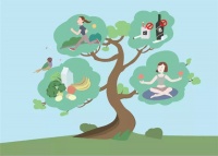 【健康素养66条】系列二十六：健康生活方式主要包括合理膳食、适量运动、戒烟限酒、心理平衡四个方面