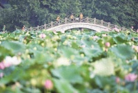 百姓身边的改革 我们的美好生活