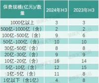 9家“小而美”财险公司外资独占6席，摆脱亏损究竟还有哪些路可走