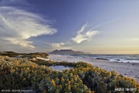 如何提高自己的生活质量？