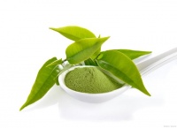 健康生活：绿茶与茶多酚对健康的积极影响！