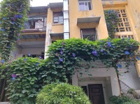 全球城市策略︱热爱生命，亲近自然，改善人类生活