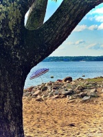 男性健康养生秘籍：活力生活的五大要点