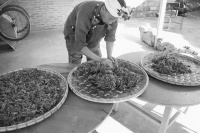 德昂族酸茶，就是生活的滋味