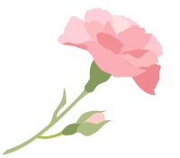 倒计时2天！舞动巾帼风采 悦享健康生活 2024年全国妇女广场舞（健身操舞）大赛总决赛来啦