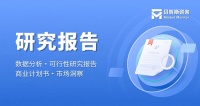 中国饲料级左旋肉碱市场未来方向对比分析报告