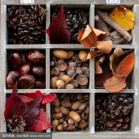 天然原材料：健康生活的基石与未来趋势