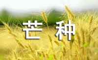 关于芒种的优美句子200句