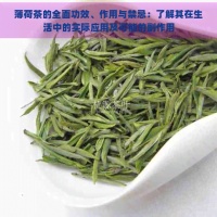 薄荷茶的全面功效、作用与禁忌：了解其在生活中的实际应用及可能的副作用