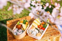 日本便当的生活美学｜近观日本