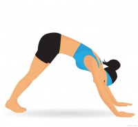 健康生活：学会正确的拉伸运动，保持身体柔韧性！