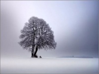 健康生活｜冬季养生