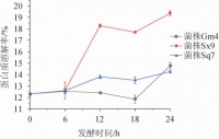 酸面团中优势乳酸菌和酵母菌对麦谷蛋白结构的影响