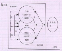 社会互动