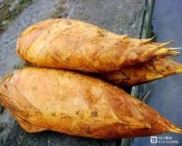 冬笋炒肉要焯水吗？教会你正确的吃法，轻松搞定生活中的3大问题