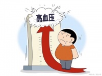 高血压，现代生活的隐形杀手，这里有一份有效的调理方案