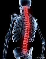 生活中的普拉提益处，赶跑疾病，迎向健康生活