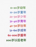 百年生活艺术规划