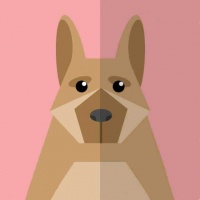 100天幸福生活挑战清单