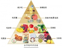 合理膳食健康生活倡导文明健康绿色环保生活方式