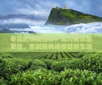 冬减肥饮品推荐：喝对茶效果更佳，告别赘肉迎接健新生活