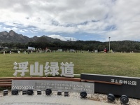 “跑”出全民健康生活！2024青岛浮山健康跑开幕