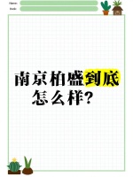 28岁宝妈创业：生活与工作的平衡艺术