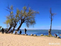 工作、生活和健康该如何平衡？