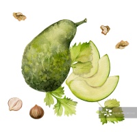 手绘水彩牛油果蔬菜，坚果饮食和健康的生活方式，沙拉素食烹饪。插图组成孤立的白色背景。设计海报，印刷，网站，卡片，菜单正版高清图片下载