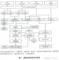 BGM0504能成为未来中国减重领域的药王吗？ $博瑞医药(SH688166)$ 2024年10月17日国家卫健委办公厅出台了肥胖症诊疗指南（2024 年版），重点是下...