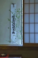 精致、健康，新中式茶馆掀起新生活方式